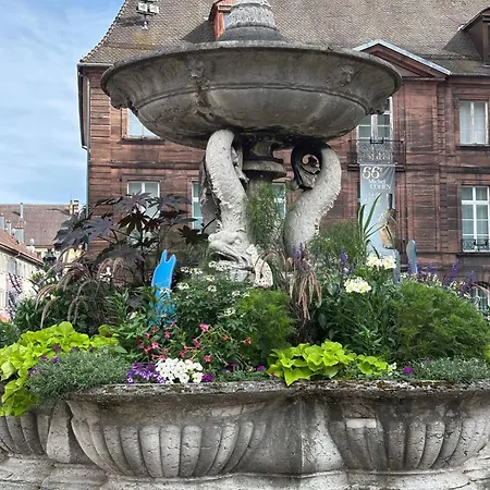 La Vue Des Vignes Parking & 2-roues ゲブビレル