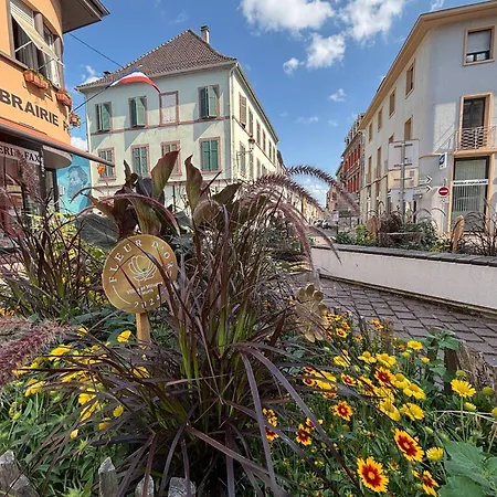 La Vue Des Vignes Parking & 2-roues Apartamento Guebwiller